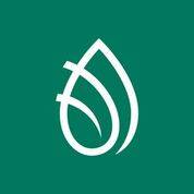 Total Health Chiropractic Mornington.jpg