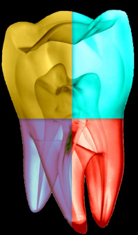 Seville Dental Clinic-jpg-png.jpg